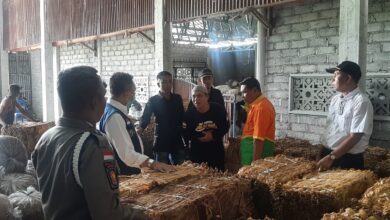 Photo of Distanbun NTB Pantau Produksi Tembakau di Lotim