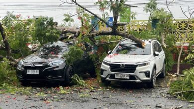 Photo of Pohon Tumbang, Kendaraan dokter Spesialis di RSUD Praya jadi Korban