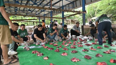 Photo of Bank NTB Syariah Salurkan 66 Ekor Sapi dari 438 Shohibul Qurban di Tahun 2025