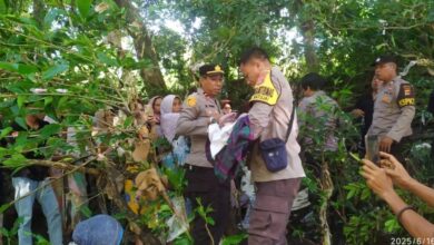 Photo of Bayi Laki laki Ditemukan Tersangkut Di Bendungan Batu Jai Dalam Keadaan Meninggal