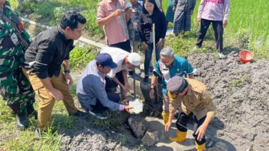 Photo of Wakil Bupati Lombok Tengah Letakkan Batu Pertama Kegiatan OPLAH