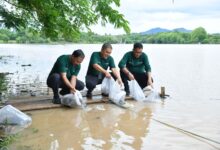Photo of Bank NTB Syariah Lestarikan Lingkungan di Bendungan Penyaring Sumbawa, Wujudkan Filosofi “Berkah Bermakna”