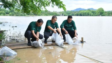 Photo of Bank NTB Syariah Lestarikan Lingkungan di Bendungan Penyaring Sumbawa, Wujudkan Filosofi “Berkah Bermakna”