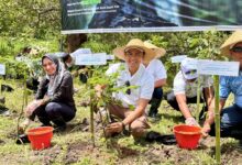 Photo of Tanggungjawab Sosial dan Lingkungan, Injourney Airports Lombok Tanam 6.900 Bibit Pohon