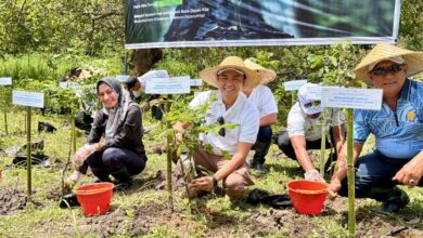 Photo of Tanggungjawab Sosial dan Lingkungan, Injourney Airports Lombok Tanam 6.900 Bibit Pohon