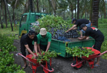 Photo of Bank NTB Syariah Hadiahkan Kebun Bibit sebagai Investasi Jangka Panjang untuk Kabupaten Sumbawa
