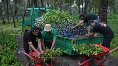 Photo of Bank NTB Syariah Hadiahkan Kebun Bibit sebagai Investasi Jangka Panjang untuk Kabupaten Sumbawa