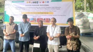 Photo of Wabup Terima Distribusi 1 Ton Cabai Rawit Merah dari Sulsel