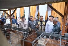 Photo of Dukung Program Desa Berdaya, Bank NTB Syariah Salurkan Ayam Petelur untuk Masyarakat