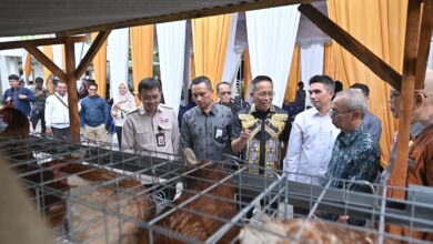 Photo of Dukung Program Desa Berdaya, Bank NTB Syariah Salurkan Ayam Petelur untuk Masyarakat