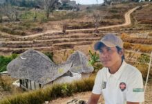 Photo of Diduga Tidak Ada Izin, Hingga Indikasi Kongkalikong Permainan Pajak, Kejaksaan Didesak Usut Perusahaan Asing di Desa Montong Ajan